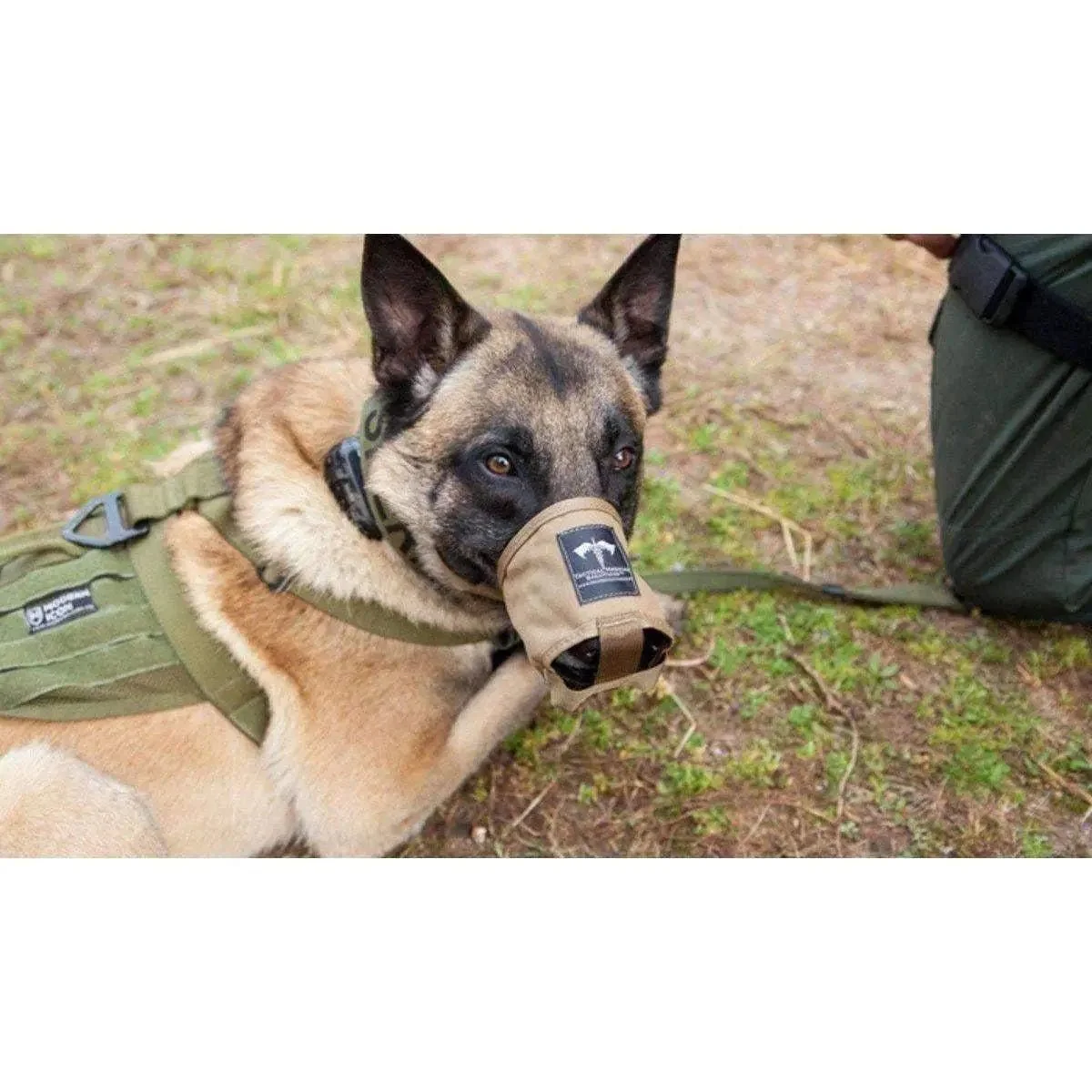 K-9 Handler Trauma Kit – Canine & Handler IFAK - Image 8